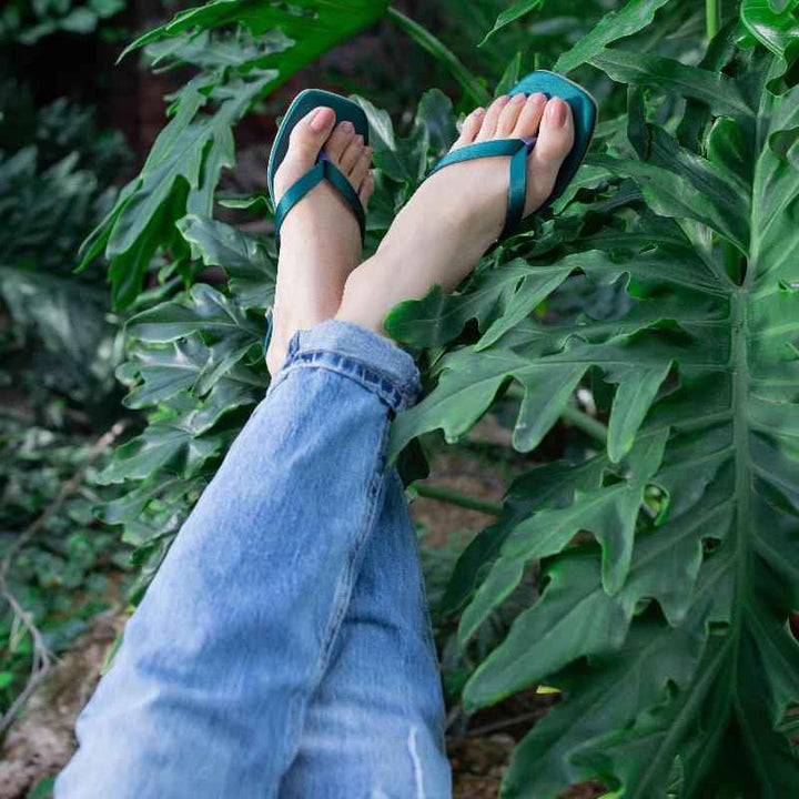 Nina Forest - Jooti Shooti